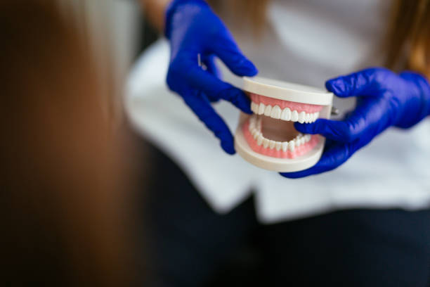 Best Pediatric Dentistry  in Charlotte Park, FL